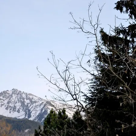 Kozincówka Apartament Zakopane