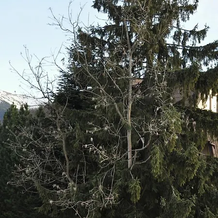 Apartament Kozincówka Zakopane